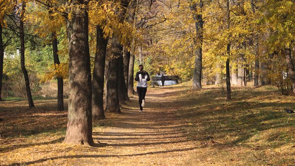 Tips Memperhatikan Teknik dan Postur Tubuh saat Berolahraga